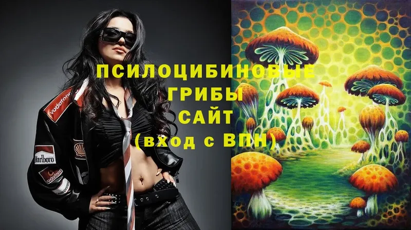 Галлюциногенные грибы Cubensis  где найти наркотики  Мичуринск 